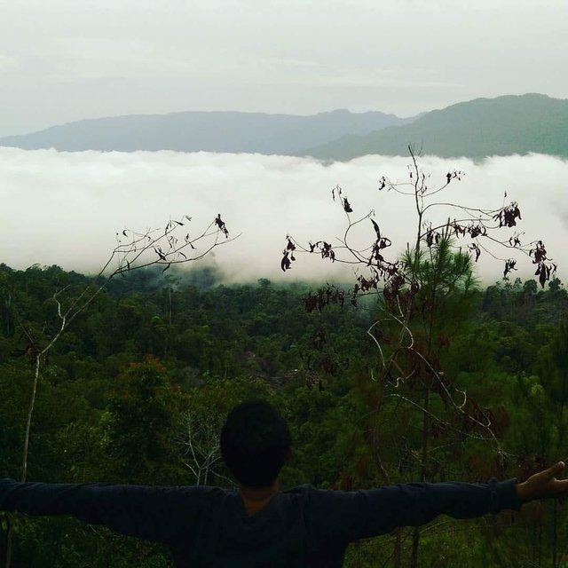 Kata Motivasi Pendaki Gunung Untuk Renungan Makna Hidup X 