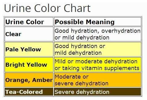 Color Of Urine When Dehydration Chart
