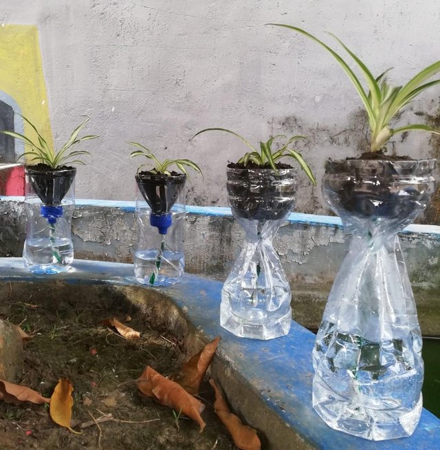 Vas Bunga Dari Botol Aqua
