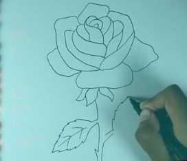Lukisan Tangan Bunga Mawar Cikimm Com
