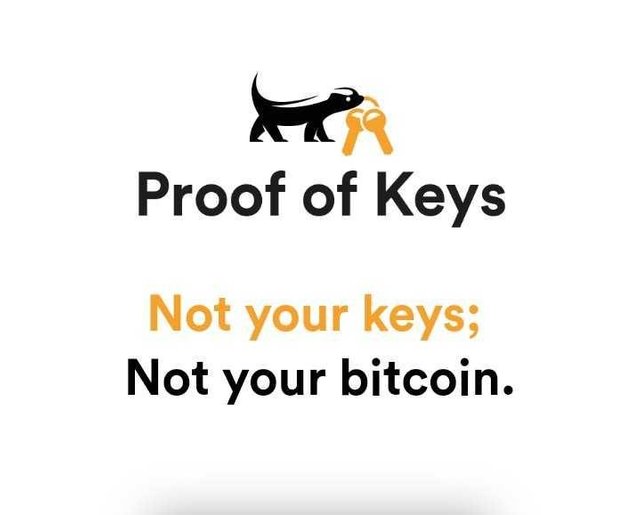 Not your keys not your bitcoins 25000 bitcoin price