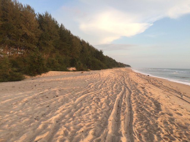 Beautiful Landscape Kuala Meurisi Beach Steemit