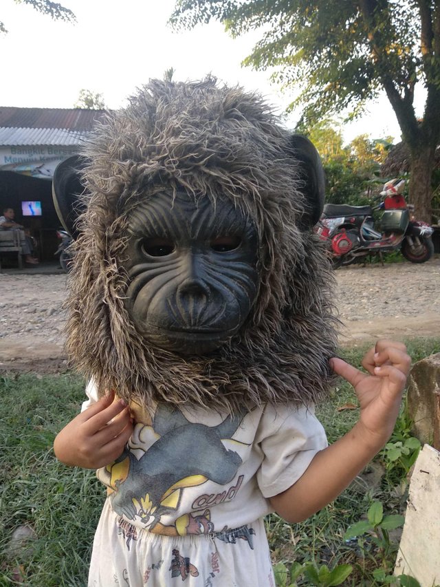  Gambar  Monyet Pakai Masker Lucu
