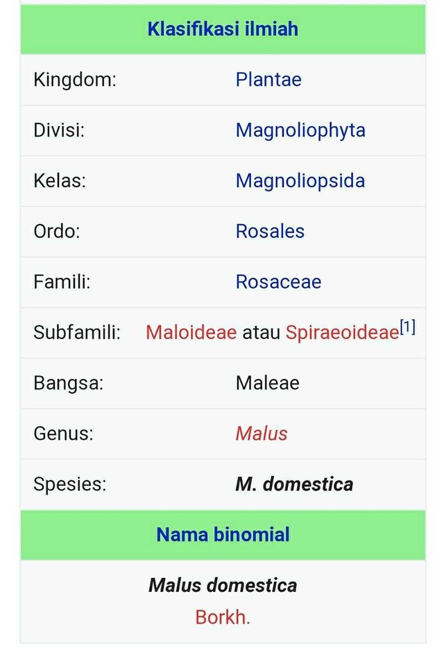 Apel Taksonomi Morfologi Asal Sebaran Jenis Kultivar 6712