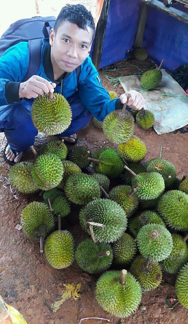 Download 6400 Gambar Durian Hijau Terbaru Gratis