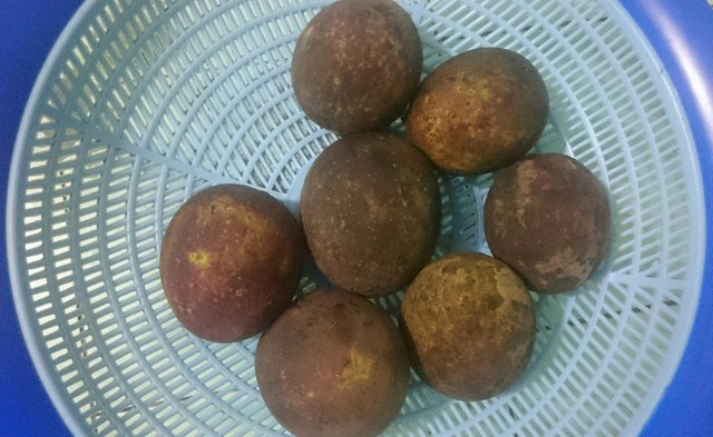 Buah Kumbang Manis Dan Asam Buah Steemit