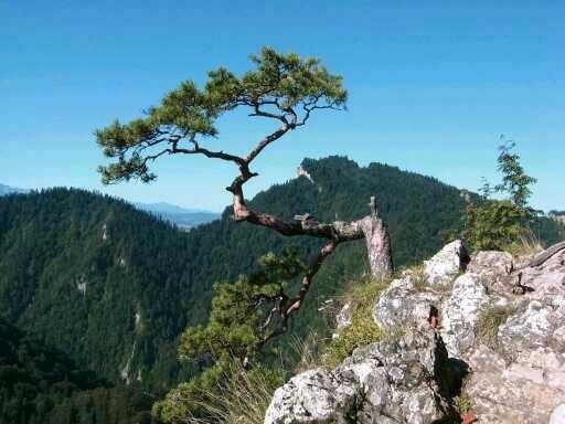 Terbaru 30 Pemandangan Alam Yang Asli - Pemandangan Top Banget