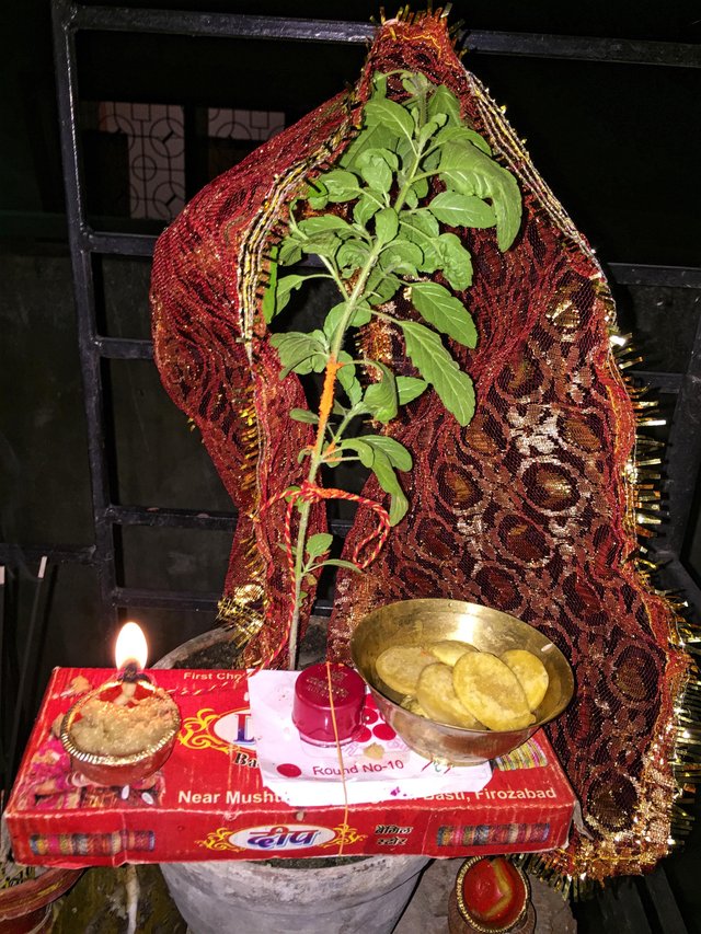 A Digital Or Virtual Marriage Ceremony Of Holy Basil Small