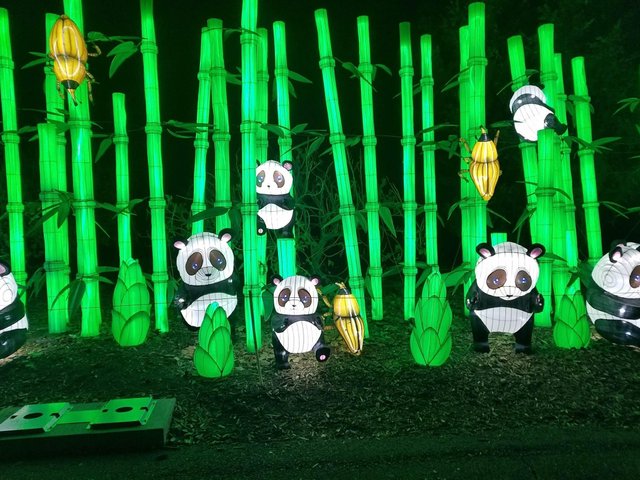 And yet more pandas.