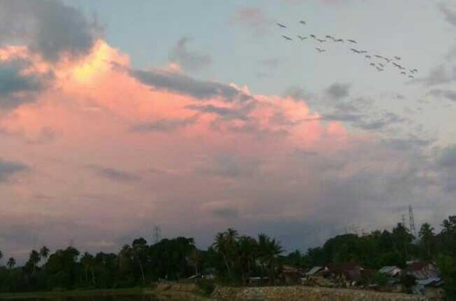 Sunset Yang Indah Air Sungai Yang Teduh Burung Pulang Kekandang