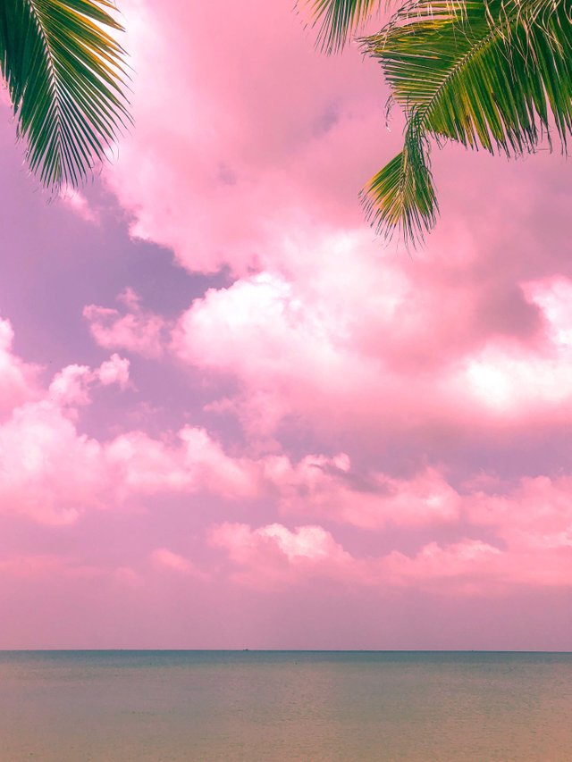 Pink Sunsets And Pink Skies On The Island Steemit