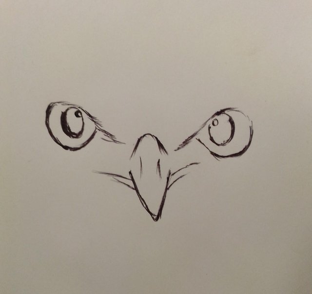 A Birds Face Impressionism Ink Drawing Steemit
