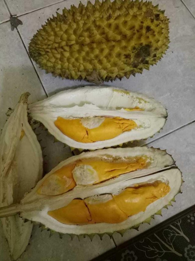 Download 4100 Koleksi Gambar Durian Belah Keren Gratis