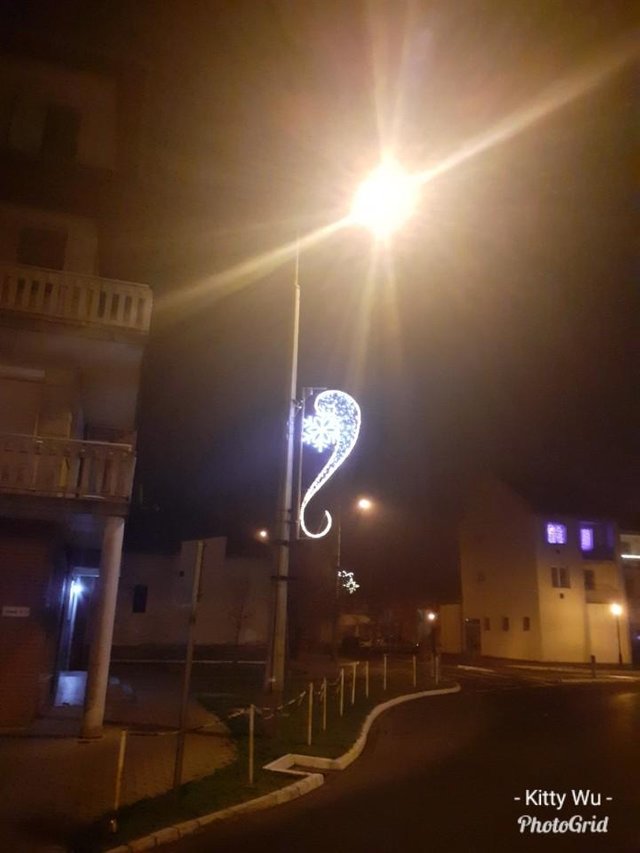 zmfw0ke0ix.jpg