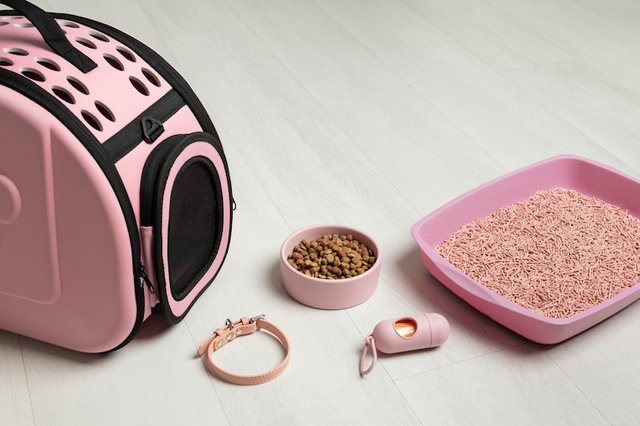 cat litter box