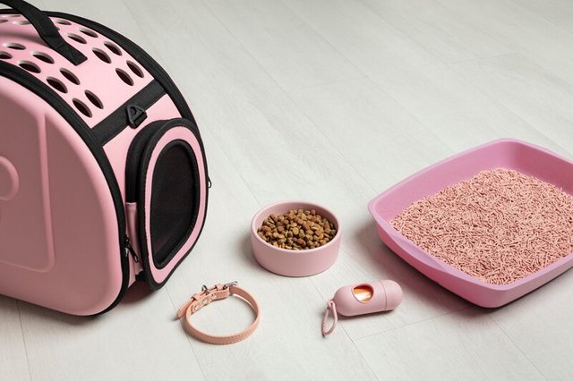 cat litter box