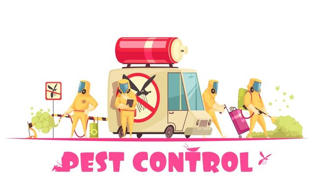 1_1_house pest control