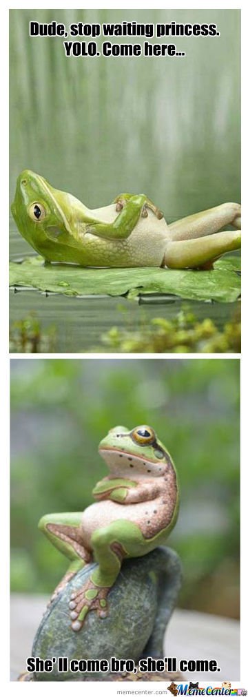 funny frog prince pictures