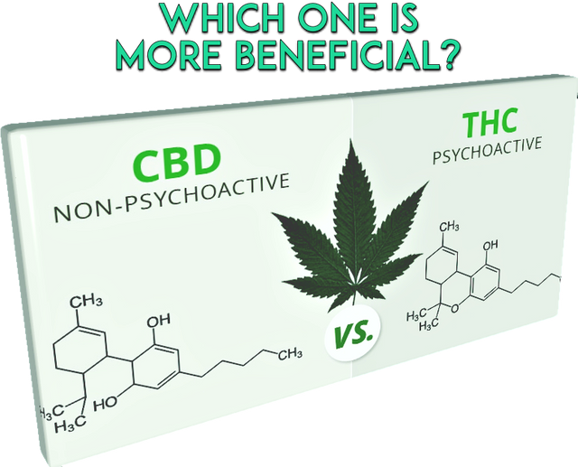 cbd-vs-thc-1-cutout.png