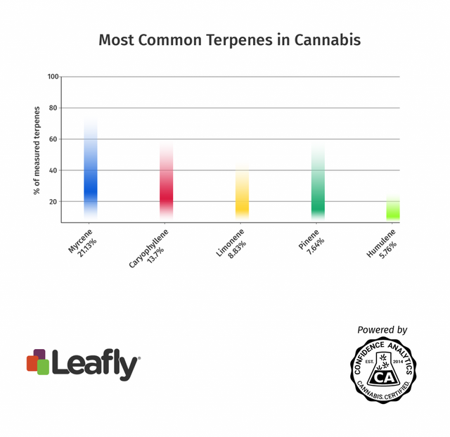 Most-Common-Terps-graph-1024x994.png