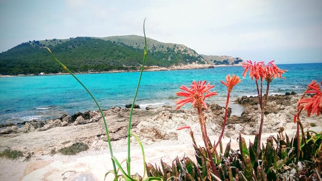 Cala Agulla (another cove just north of Ratjada), Mallorca