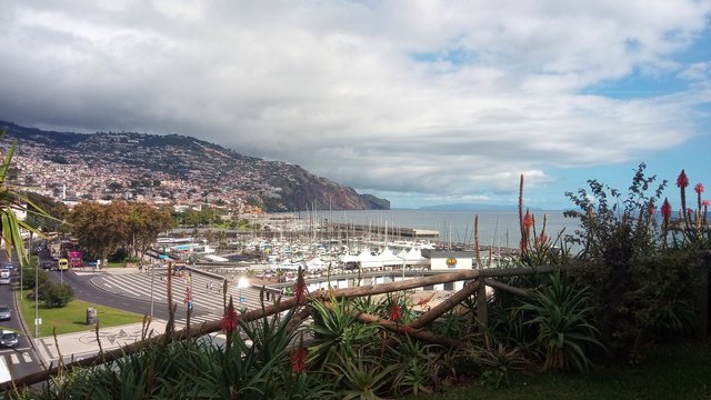 Funchal marina from the gardens