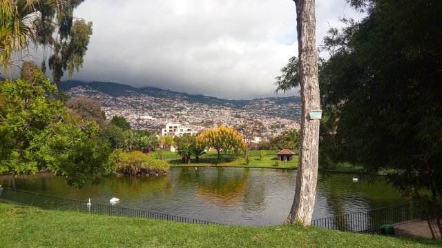 A view in the gardens, looking towards Funchal