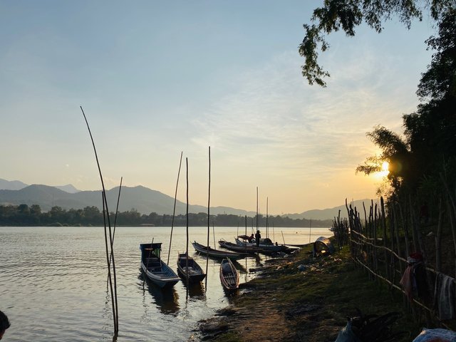 Local fishing boats. 