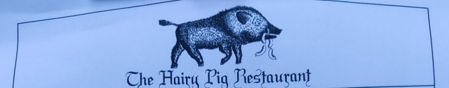 Hairy Pig.jpg