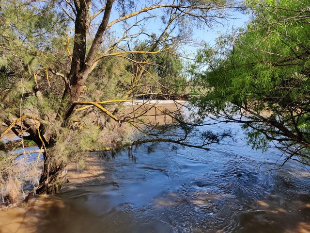 Canowindra surroundings: Canowindra, AUSTRALIA.jpg