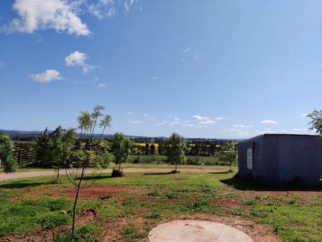 Canowindra surroundings: Canowindra, AUSTRALIA.jpg