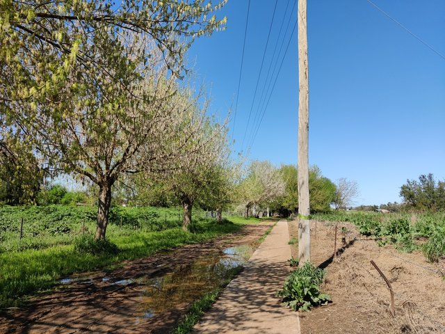 Canowindra surroundings: Canowindra, AUSTRALIA.jpg