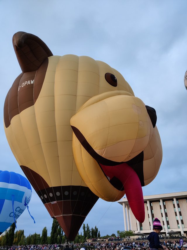 Early Morning Balloons: Canberra, AUSTRALIA.jpg