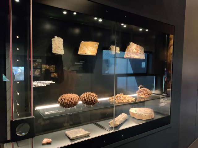 National Museum of Australia: Canberra, AUSTRALIA.jpg