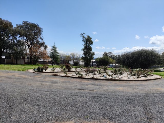 All Saints Anglican Church: Canowindra, AUSTRALIA.jpg