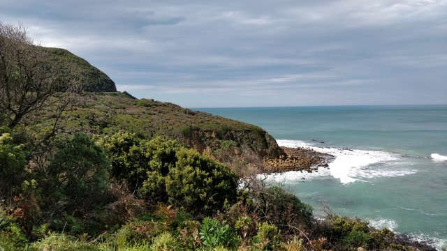 Apollo Bay: Victoria, AUSTRALIA.jpg