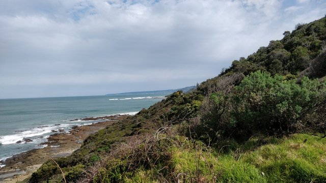 Apollo Bay: Victoria, AUSTRALIA.jpg