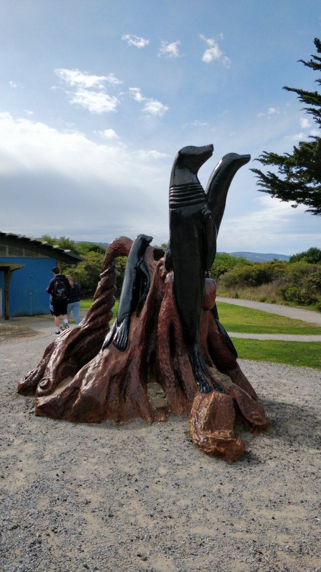 Apollo Bay: Victoria, AUSTRALIA.jpg