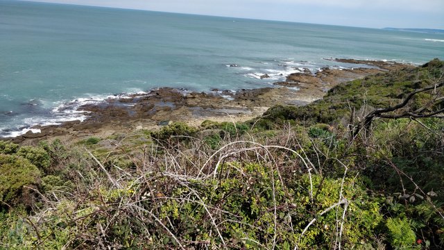 Apollo Bay: Victoria, AUSTRALIA.jpg