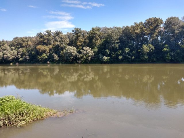 Tisza river