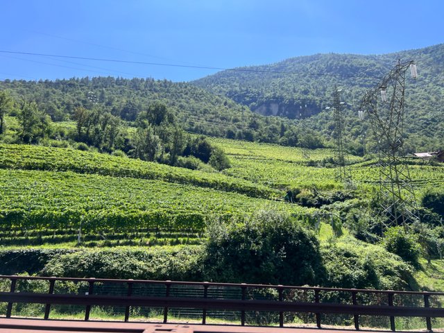 all information about this route and the brenner can be found https://nl.m.wikipedia.org/wiki/Brennerpas / photo is mine taken from my backseat during the drive