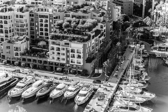 However, Monaco has its upside: the majority of the roofs on buildings and houses are green. The most beautiful roof I saw was the one with the olive grove - wonderful!