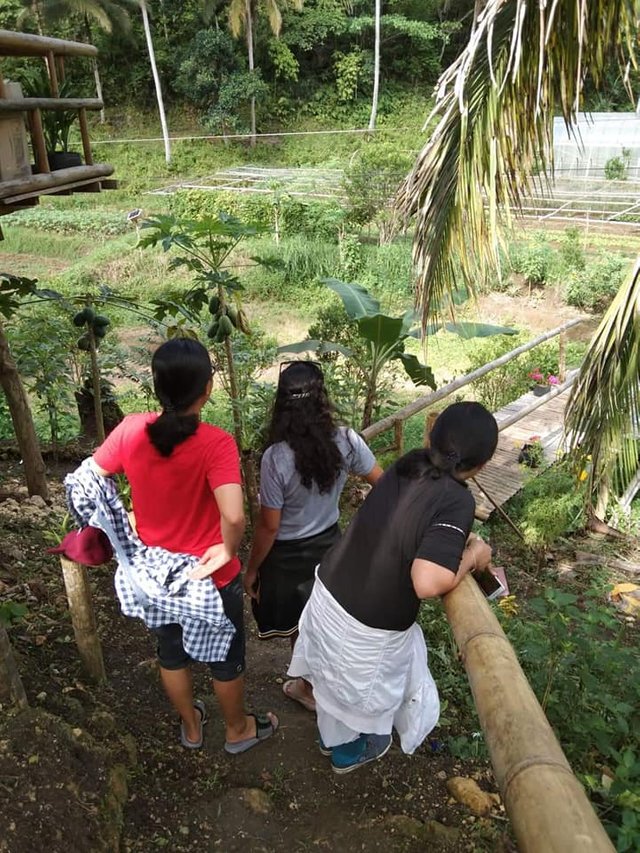 Finally, we're in the Happy Farm at Danao, Macrohon, Southern Leyte. All post and make your self comfortable while we are staying the whole day on the farm. 