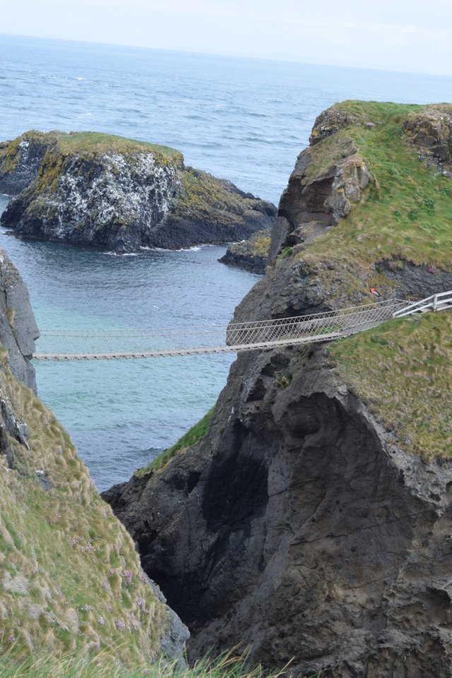 Carrick-a-Rede rope bridge - Northern Ireland
