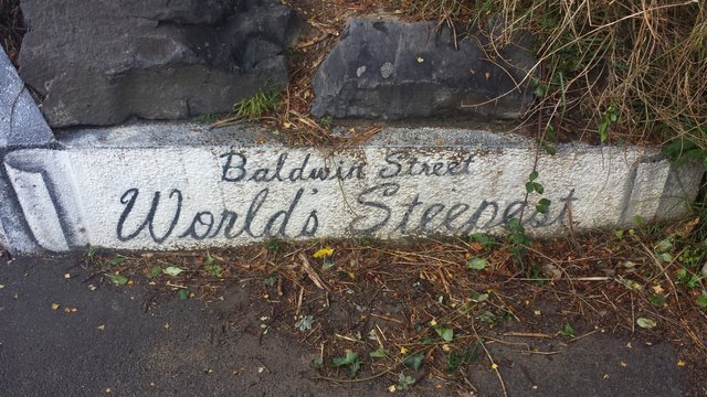 Worlds steepest street, as seen in New Zealand