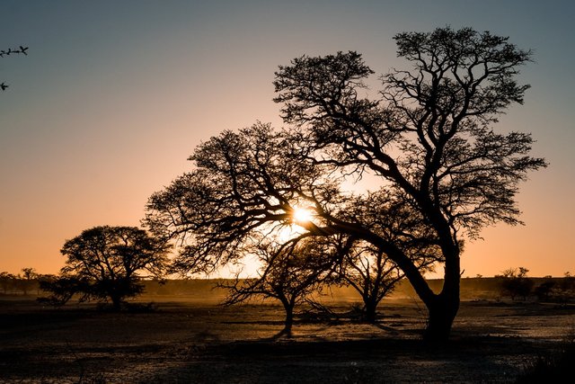 Another Kalahari Sunrise. (Photo: Vicky Garcia).