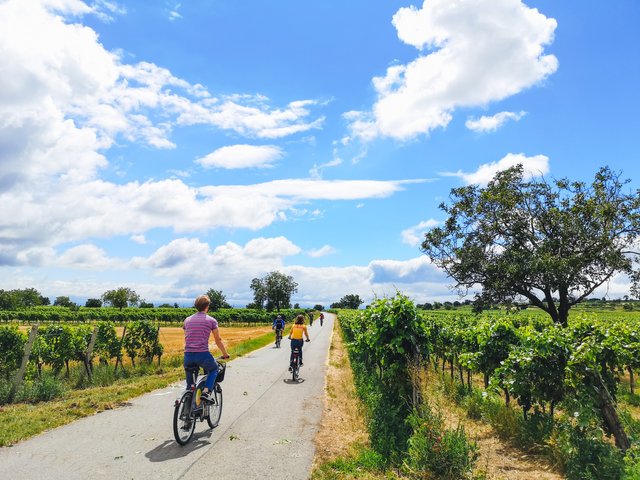 The flat nature of Burgenland is perfect for relaxing cycling. Photo by Alis Monte [CC BY-SA 4.0], via Connecting the Dots