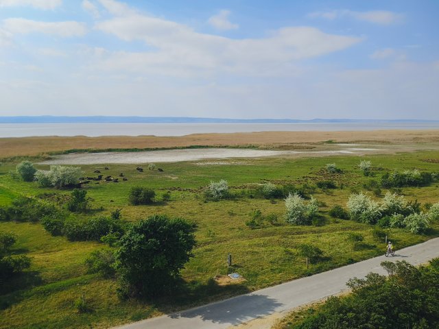 A simpler way to describe Lake Neusiedl would be a steppe lake. Photo by Alis Monte [CC BY-SA 4.0], via Connecting the Dots