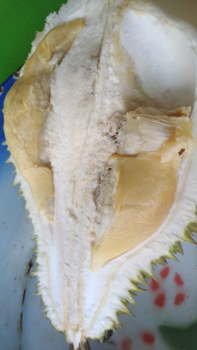Durian is a must have in Taiping