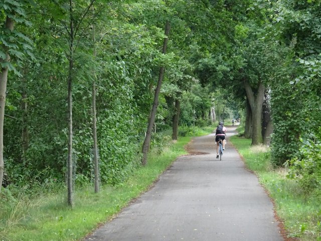 No traffic, just bikes